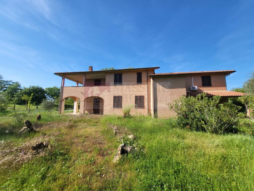 SIENA. Proprietà agricola con 27 ha di terreno