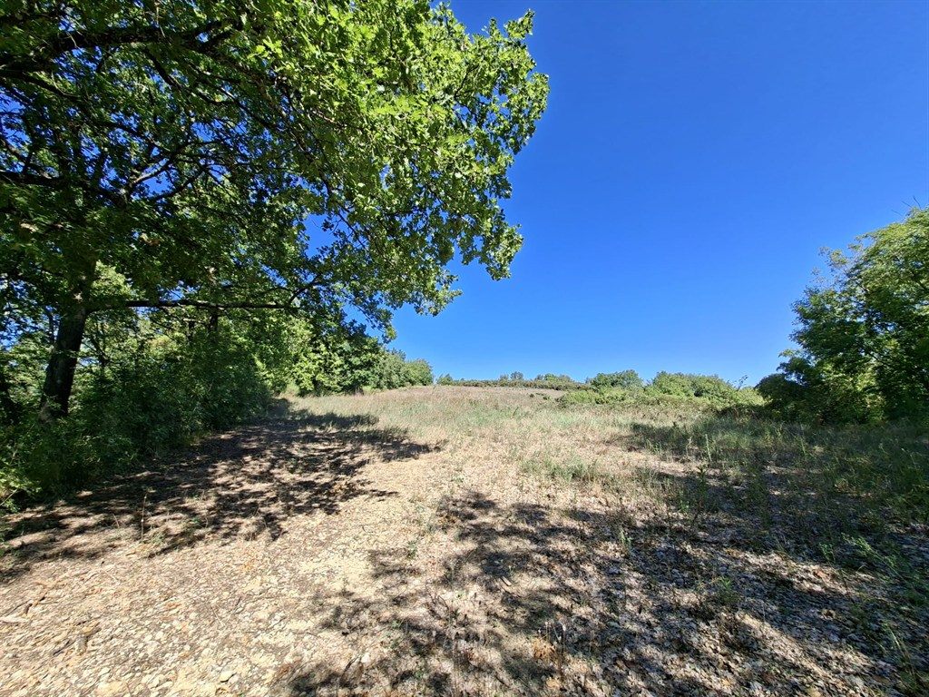 Terreno agricolo in vendita a Monteriggioni – Zona Uopini